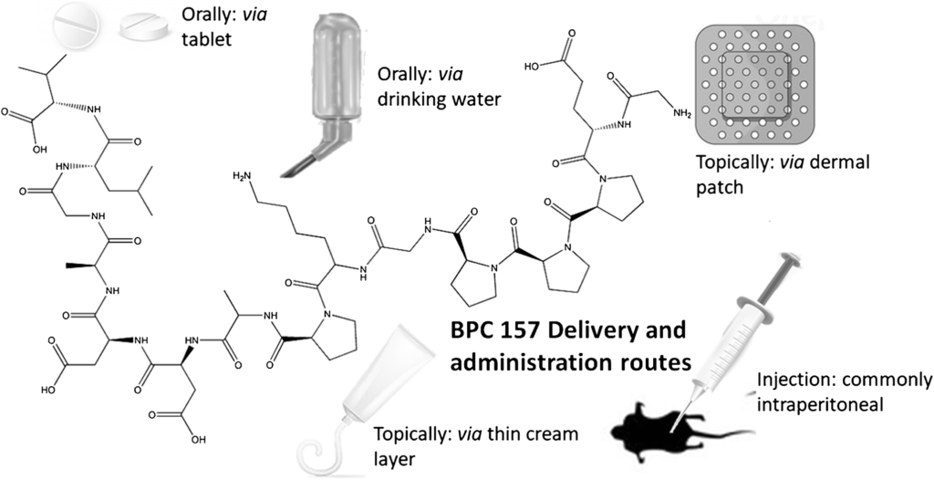 research on bpc 157